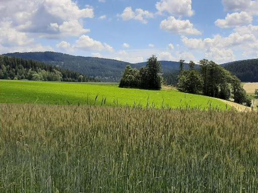Landgasthof Neitsch Schwarzenberg Kültér fotó